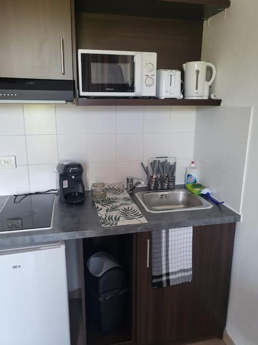 B309 Appartement Proche Disney Paris Montévrain Buitenkant foto